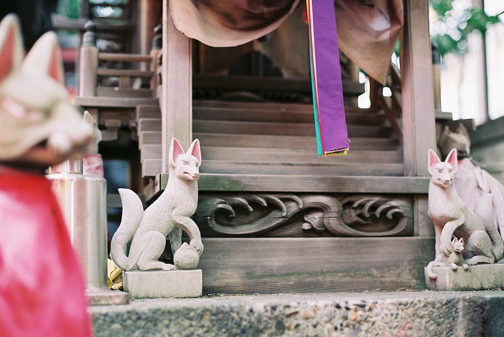 ⛩️ 아나모리이나리 신사 (Anamori Inari Shrine) 이미지 5